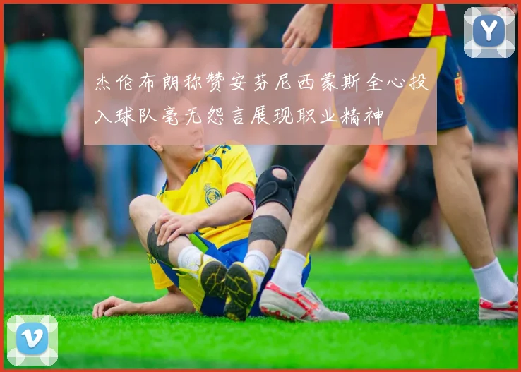 杰伦布朗称赞安芬尼西蒙斯全心投入球队毫无怨言展现职业精神